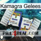 Kamagra Jellys 12